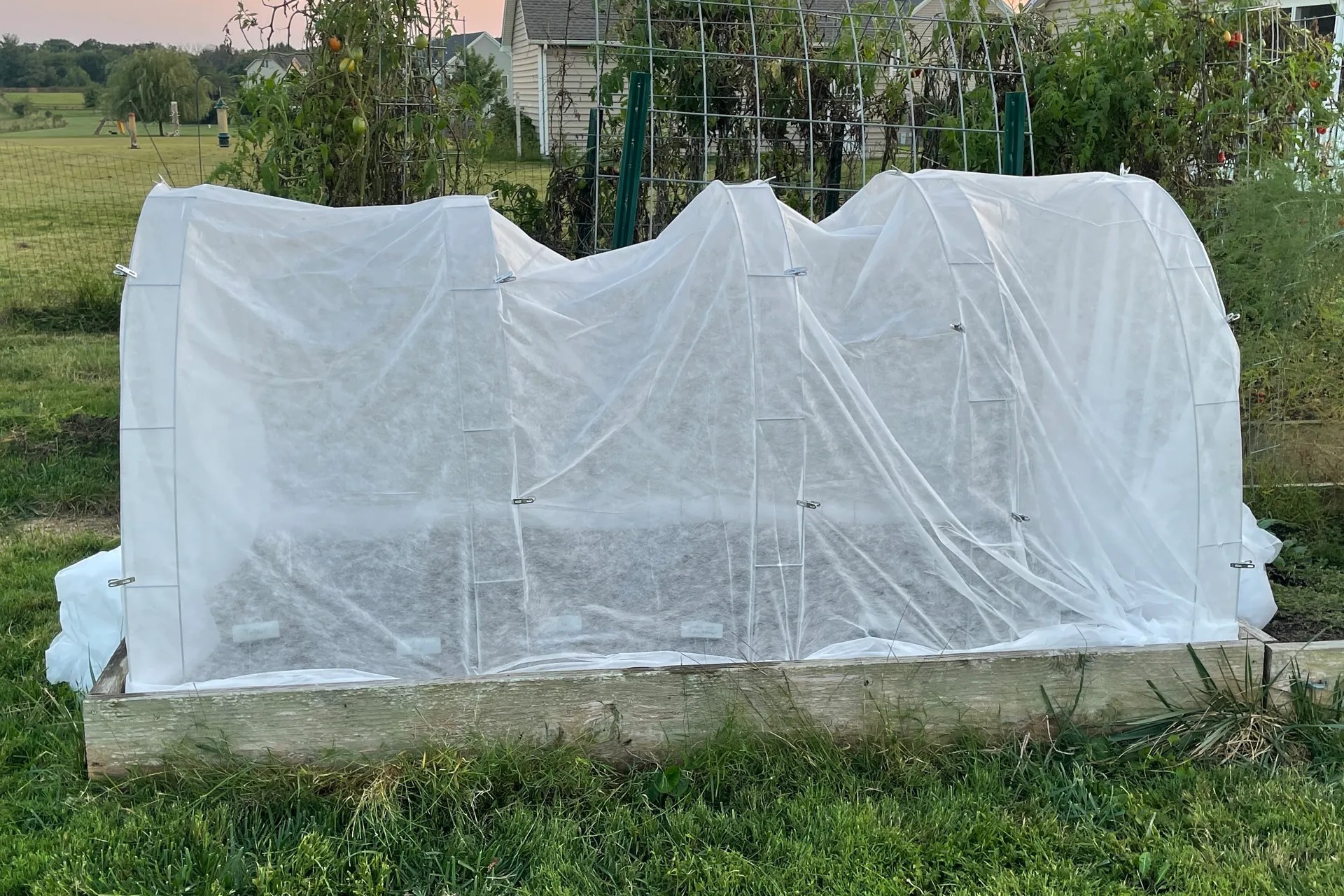 Shade cloth draped over raised garden bed to protect plants from summer heat.