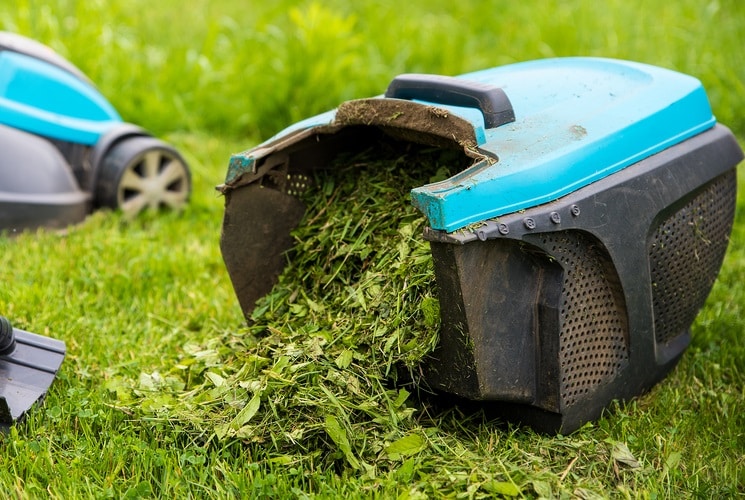 Mulching with Grass Clippings for a Thriving Garden and Lawn • Sow