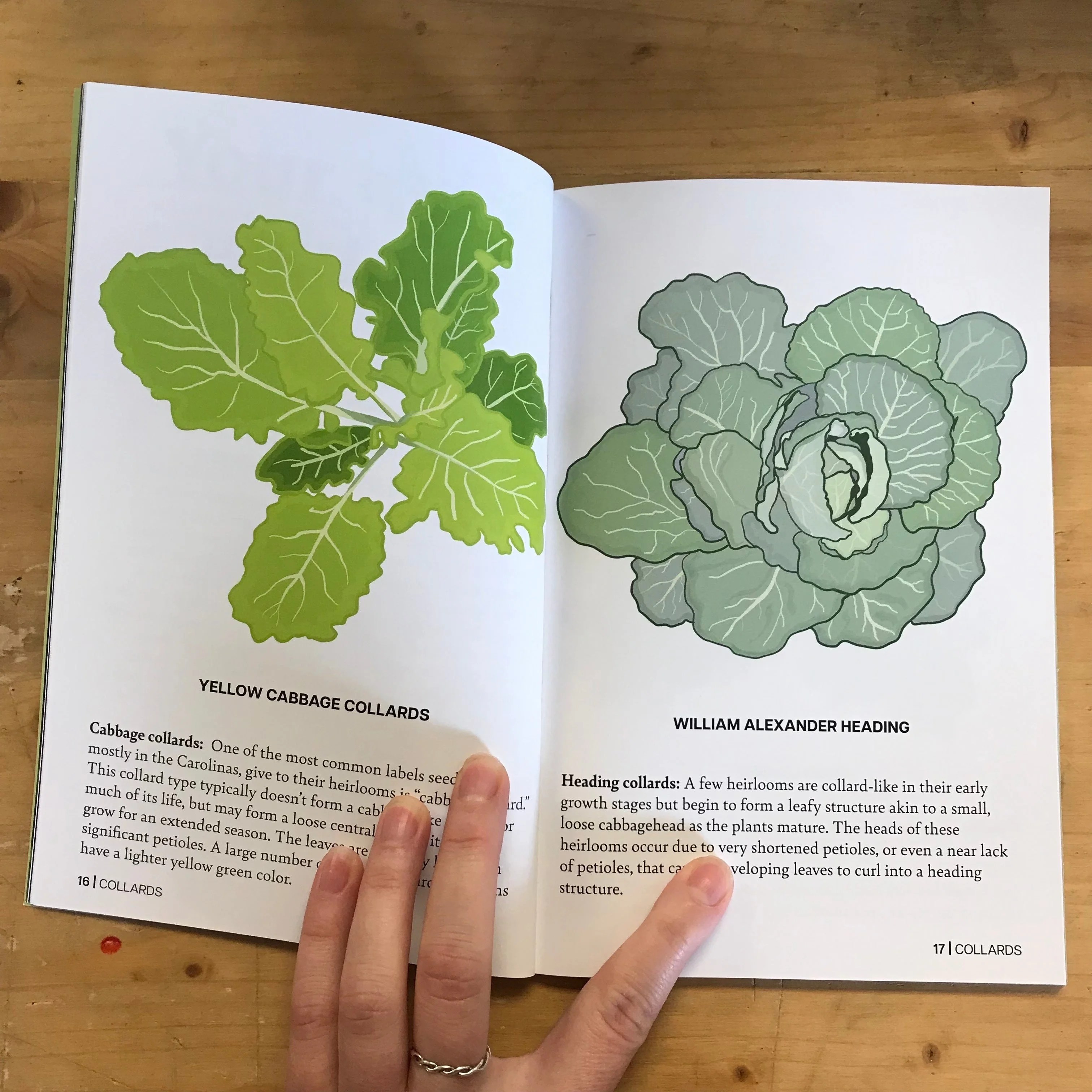 Crop Stories Collards Sow True Seed