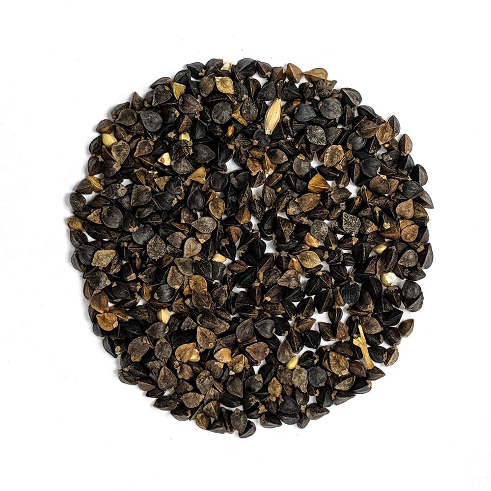 Cover Crop Buckwheat, ORGANIC Sow True Seed