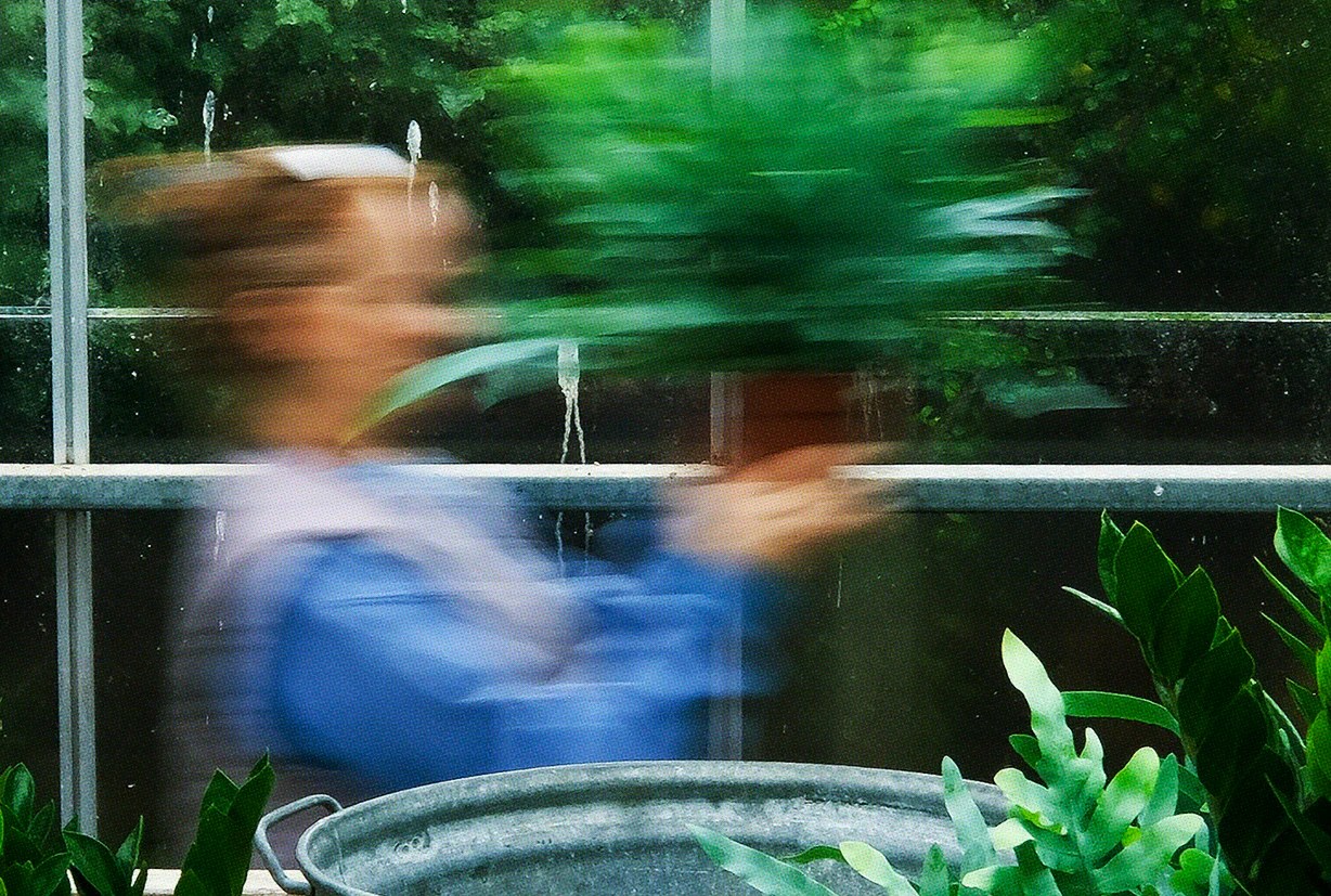 In Celebration The Glasshouse SOWVITAL