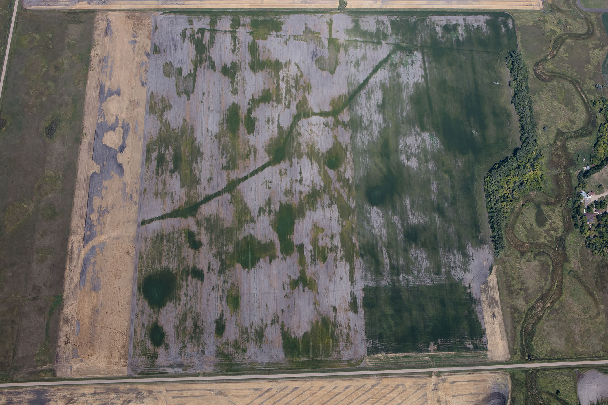 North Dakota Research Plot Points to Ways of Managing Soil Salinity