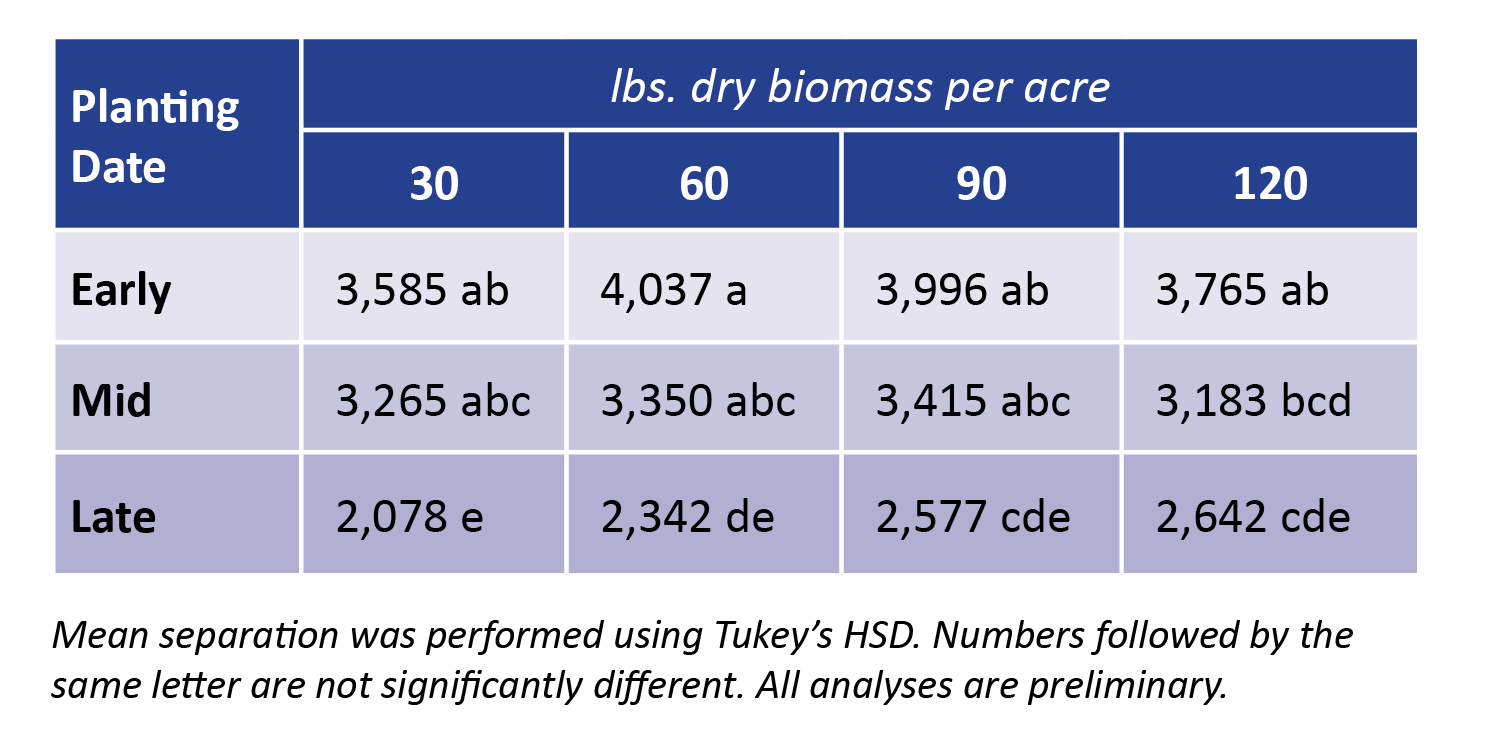 Refining Cover Crop Seeding Rates and Planting Dates Can Boost Farmer