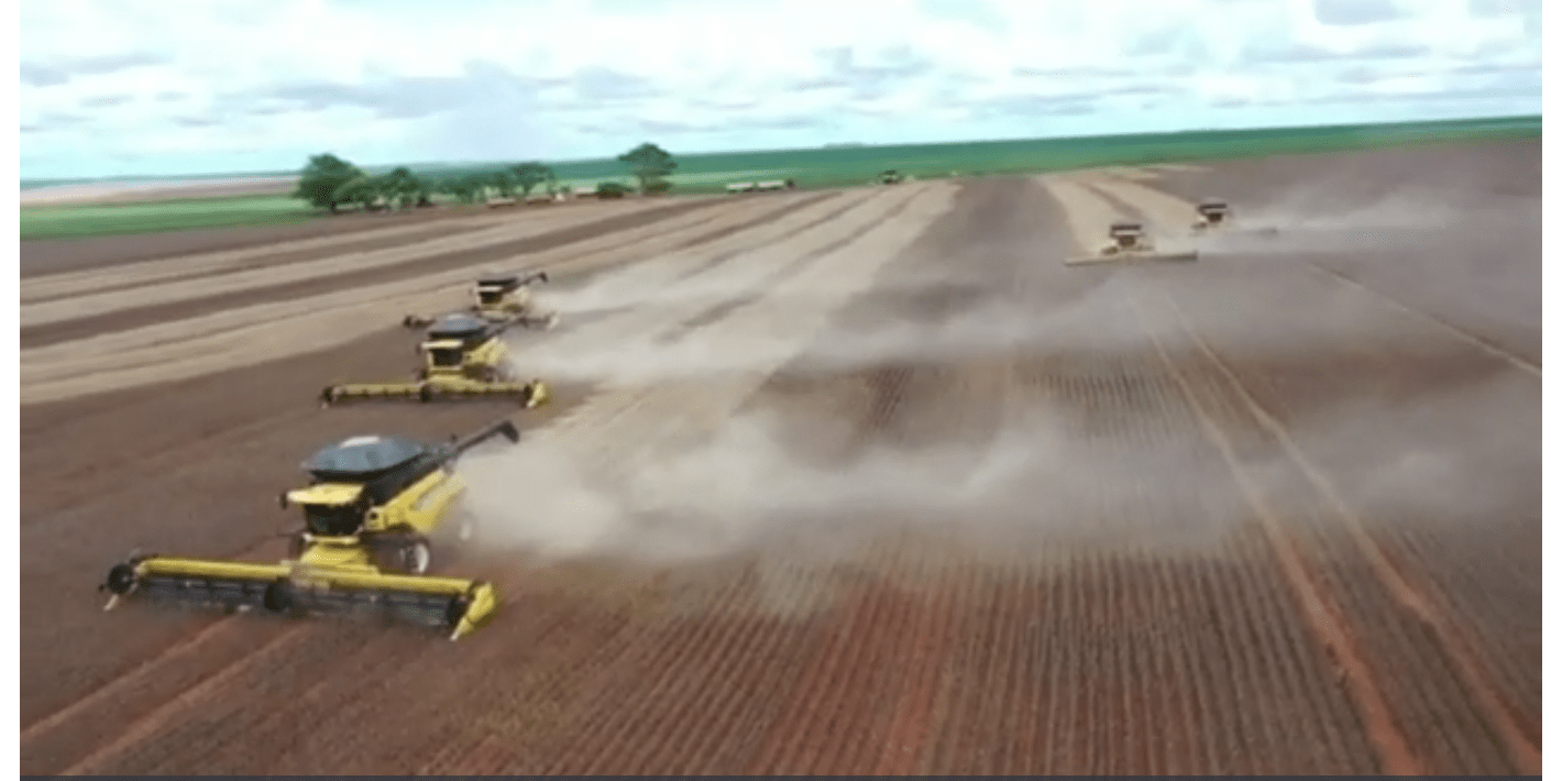 Early Soybean Harvest Starts in Mato Grosso, Brazil