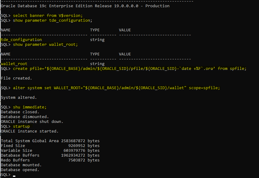 Setup TDE Encryption In Oracle 19c Database DBA Notes