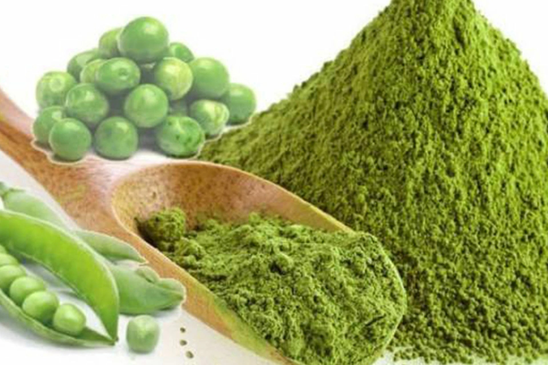 Soy Protein vs Pea Protein A Comparative Analysis FP Group