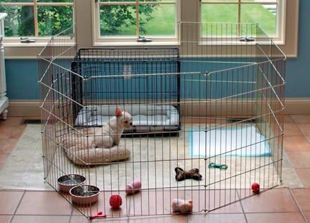 Exactitud bostezando Menos que como construir una jaula para perro