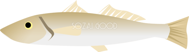 キス 無料魚イラスト 素材Good