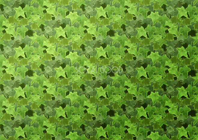 水彩のアイビーのフレーム イラスト素材 [ 6815701 ] - フォトライブラリー Photolibrary アイビー背景(緑 グリーン)無料イラスト／テクスチャ43499 | 素材Good