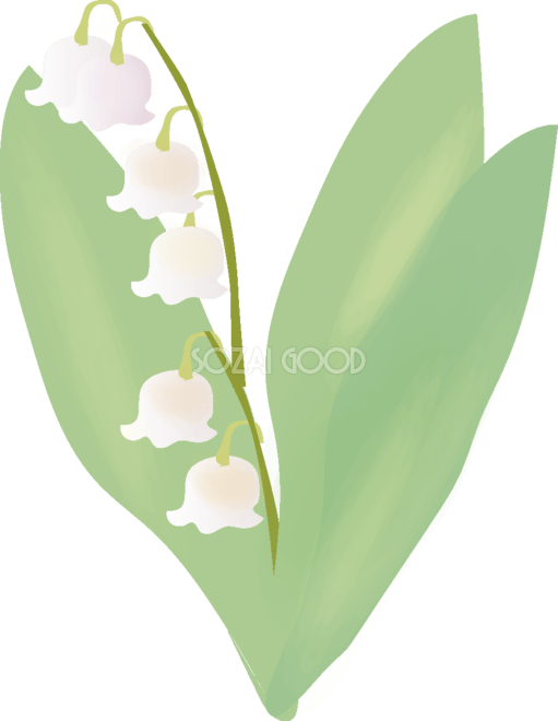 スズラン | 無料イラスト＆かわいいフリー素材集 ねこ画伯コハクちゃん 鈴蘭(すずらん)【花の無料イラスト】春(4月-5月)67037 | 素材Good