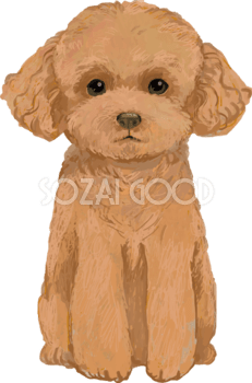 ボード「Dog」のピン トイプードルの正面 リアル手書き風無料イラスト81936 | 素材Good