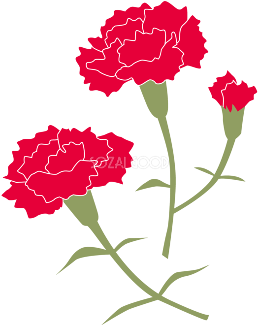 茎がハート形に曲がったかわいい赤のカーネーションイラスト無料フリー83644 | 素材Good 2本のおしゃれカーネーションとつぼみイラスト無料フリー83621 | 素材Good