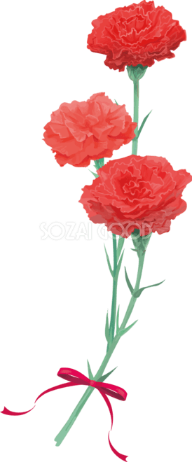 おしゃれさんは「赤」をどう着こなしてる？大人のレッドコーデスタイルBook | キナリノ おしゃれ綺麗な赤カーネーションイラスト(３輪上向き)無料フリー83670 | 素材Good