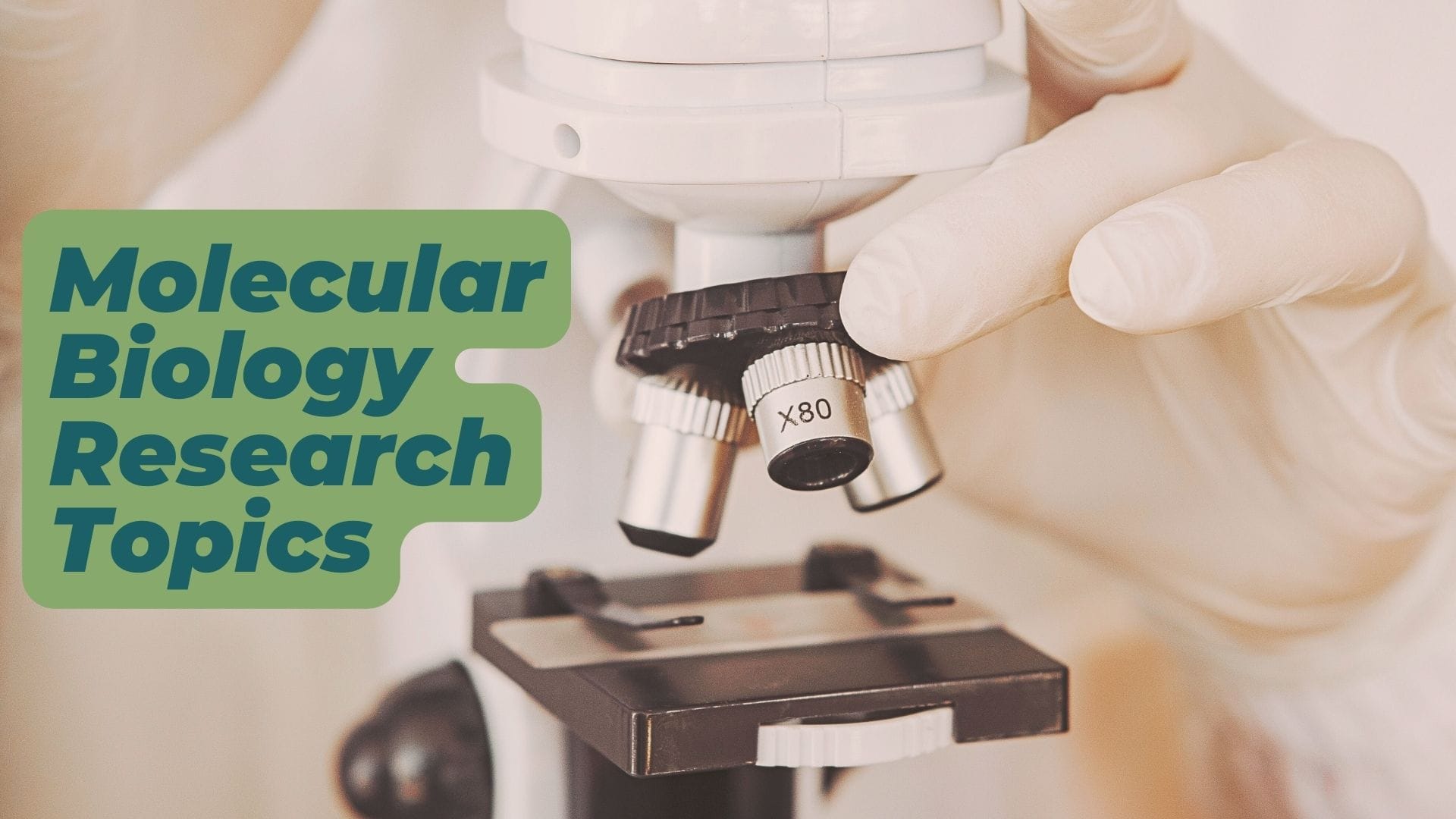 Top 100 Biology Topics For Academic Paper Writing