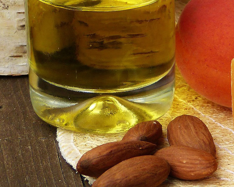 Natural Treatments for Dog Ear Mites UK Pets