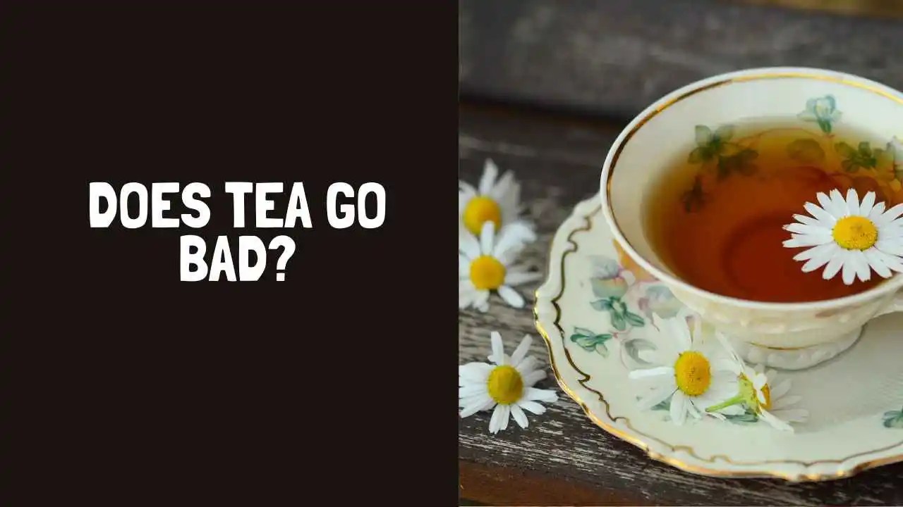 Do Teabags Go Bad? How Long Do Teabags Last?