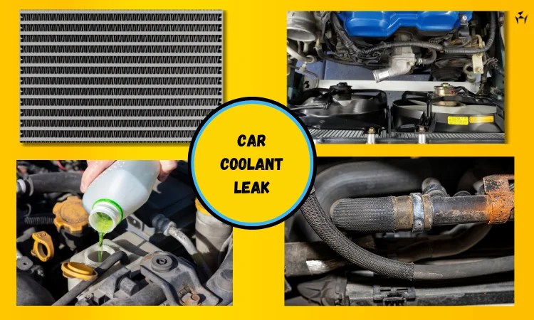 Coolant Leak 3 Causes, Identification, and Repair Costs [PDF] - Design