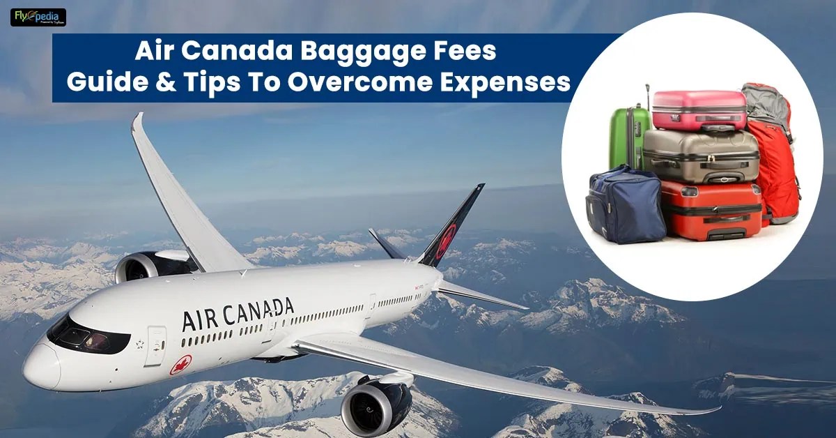Air Canada Baggage Fees Guide & Tips To Expenses