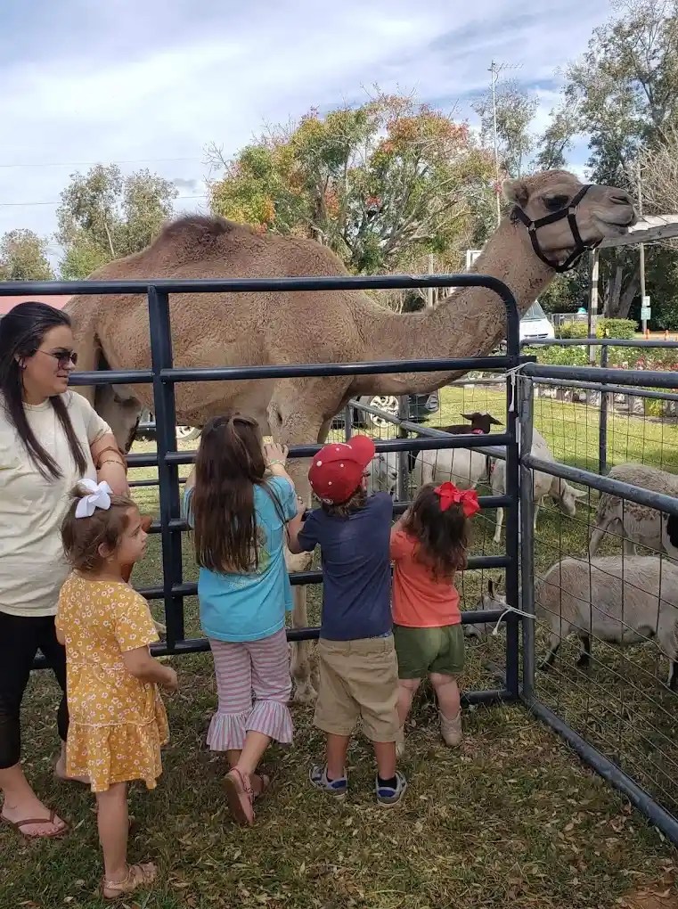 15 Cool Things To Do In Dothan Al To Enjoy An Unforgettable Stay