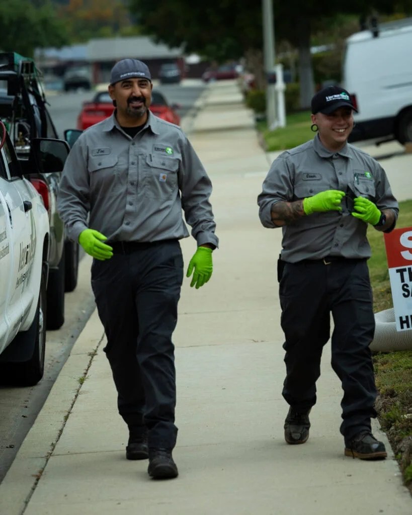 Pests We Treat San Dimas & LA County Pest Control VersaTech