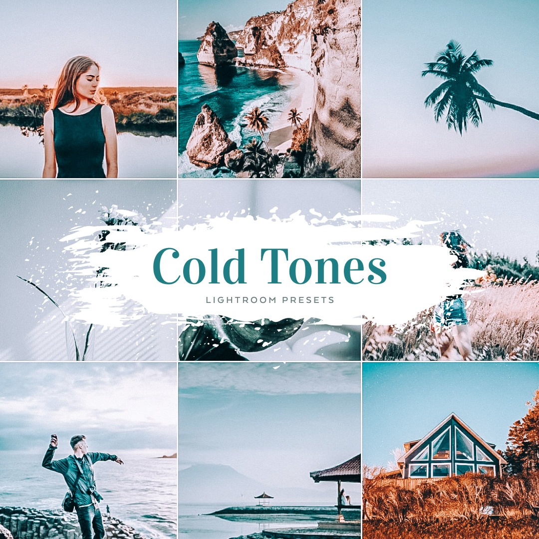 Free Presets for Lightroom FLTR Competitive Intelligence｜Ad Analysis