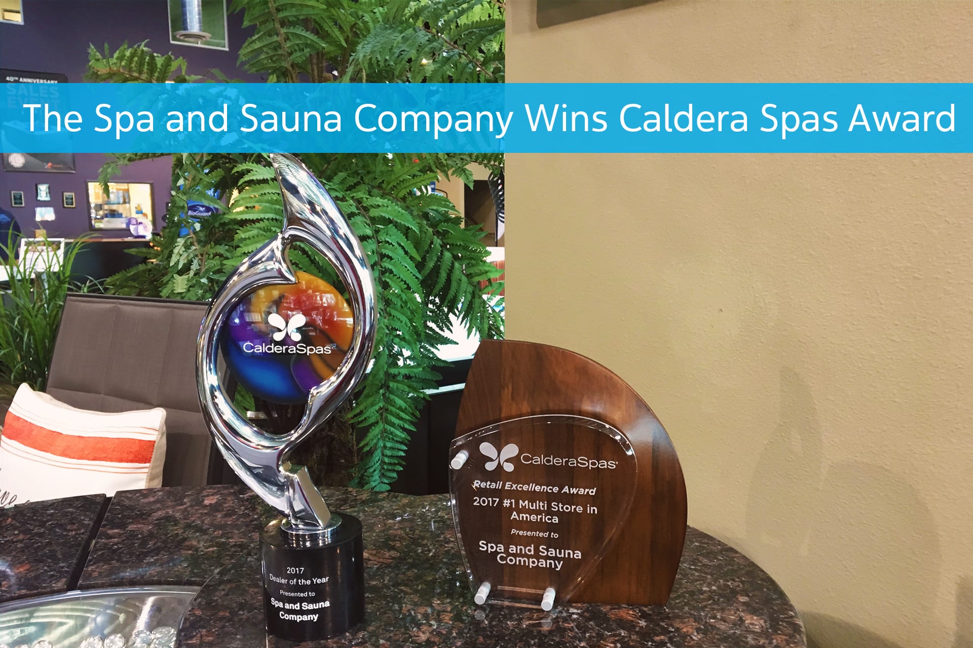 The Spa and Sauna Company of Reno wins 2017 Caldera Spas Dealer of the Year