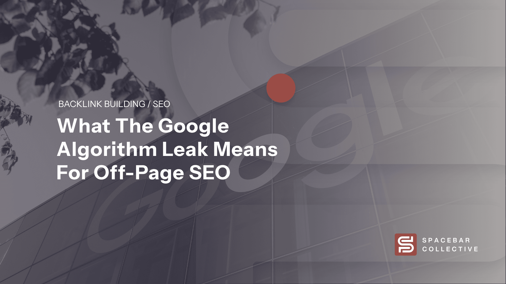What the Google Algorithm Leak Means for OffPage SEO(08)