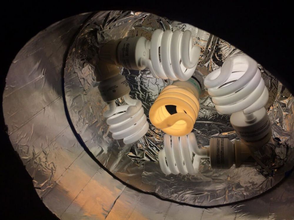 TOASTED BUCKET Space Buckets DIY Indoor Gardening