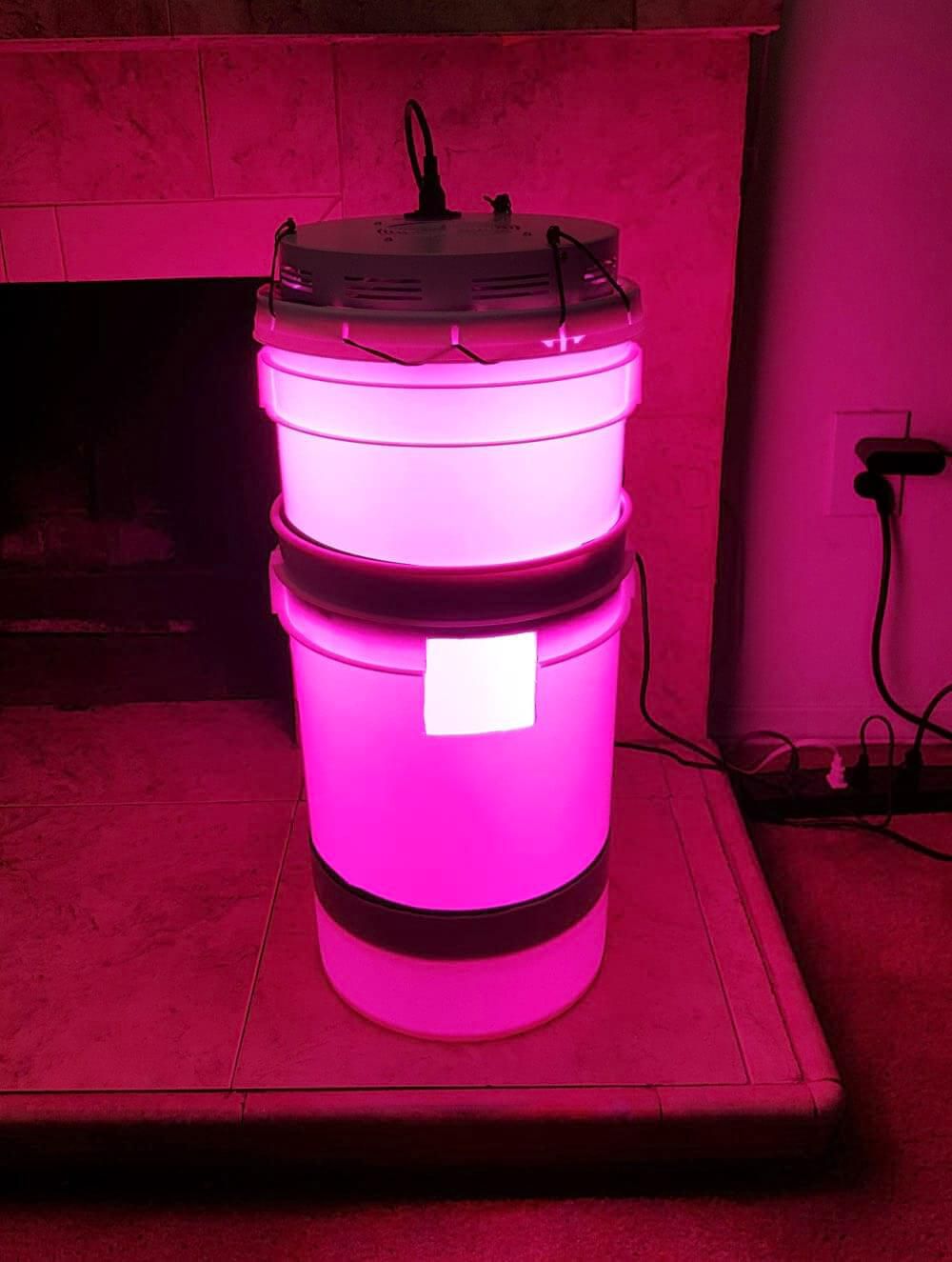 BREAKING BUILD Space Buckets DIY Indoor Gardening