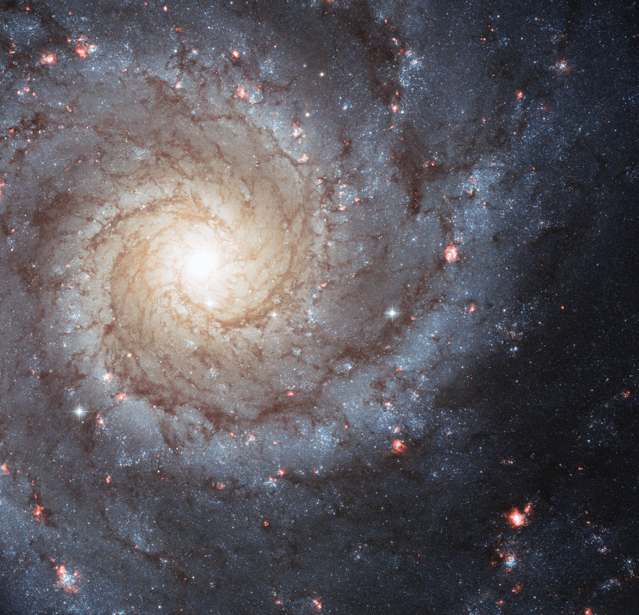 New Insights on How Spiral Galaxies Get Their Arms International