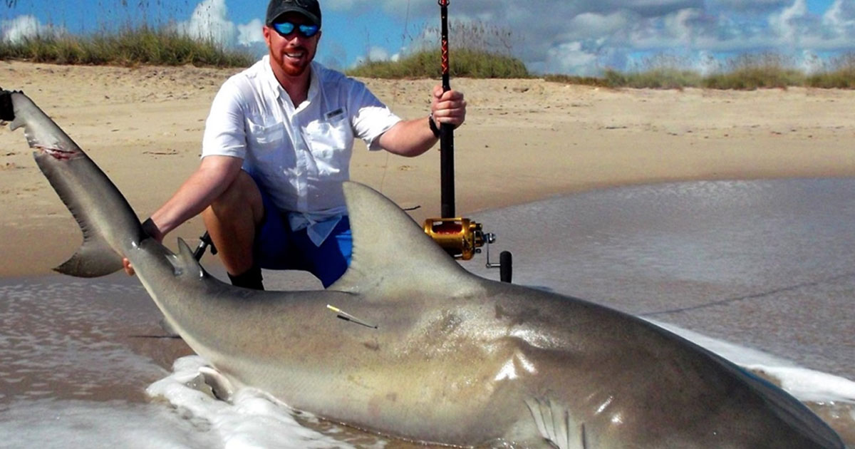 LAND BASED SHARK FISHING CONTROVERSY AN OBJECTIVE VIEW