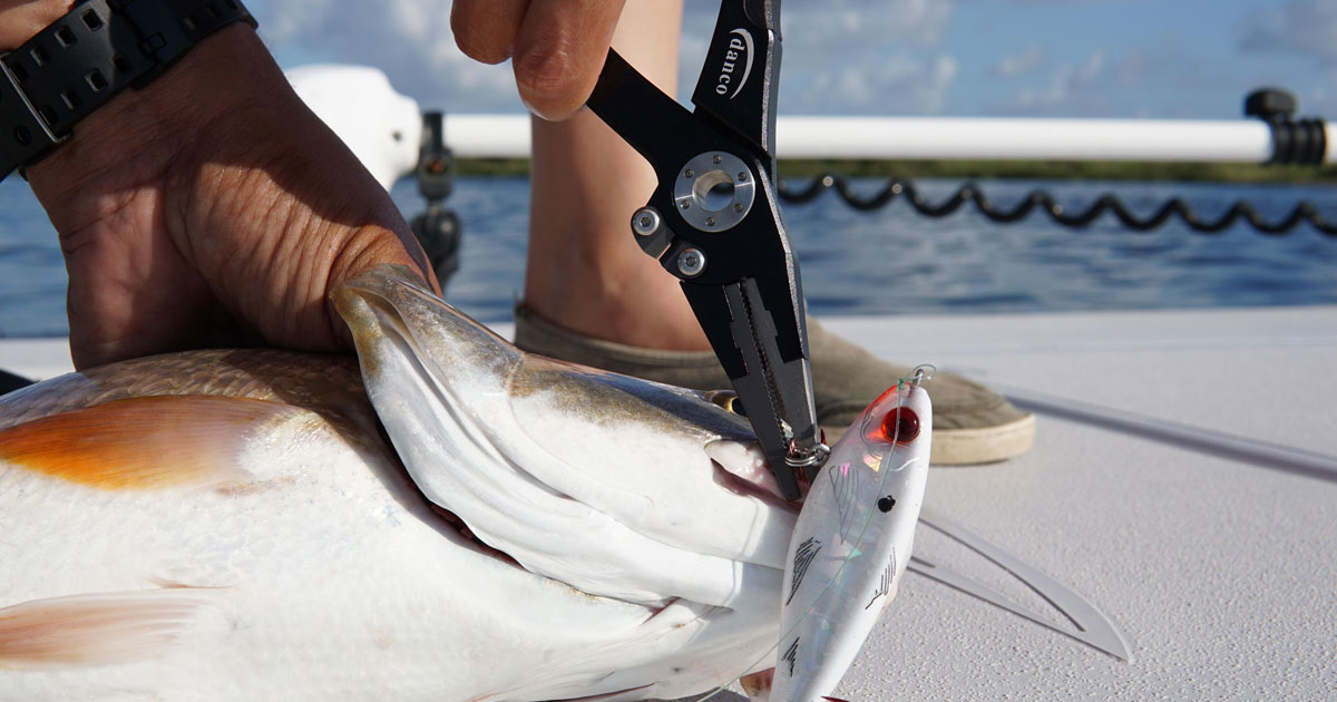 Plying for Info Overviewing Modern Saltwater Fishing Pliers