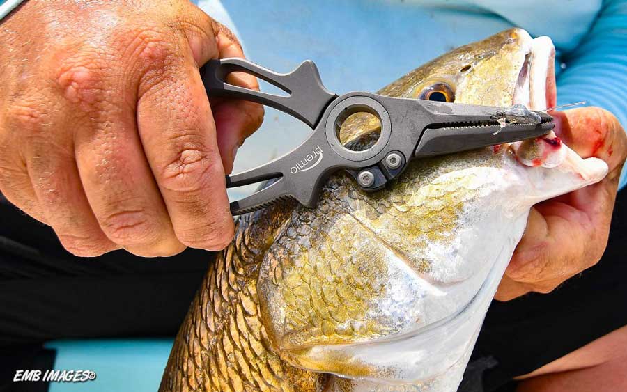 Plying for Info Overviewing Modern Saltwater Fishing Pliers