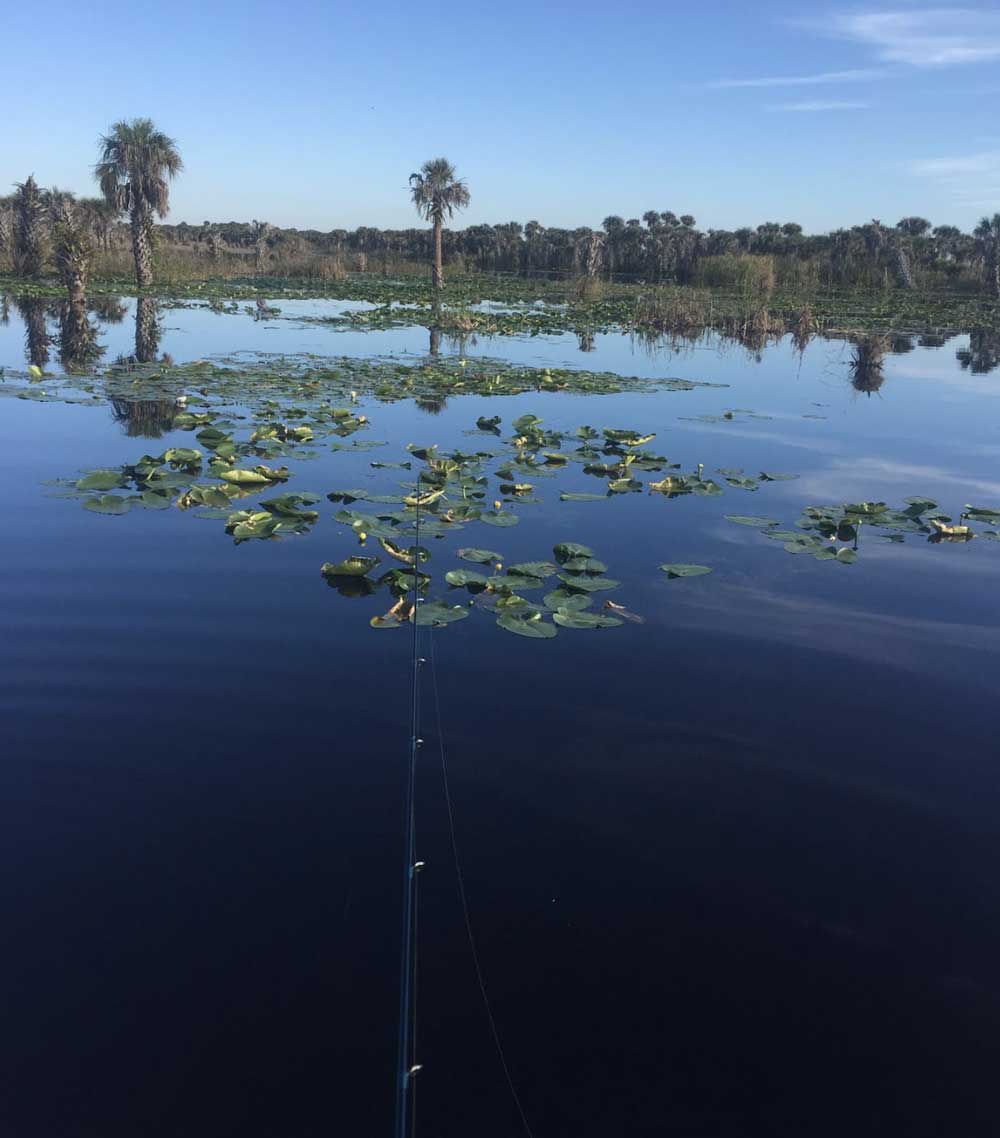 Excited for Spawning Time! Central FL Bass Fishing Report