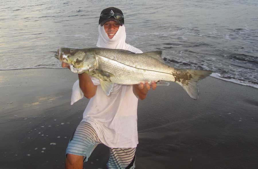Time for Snook in the Surf Space Coast Surf Fishing Report