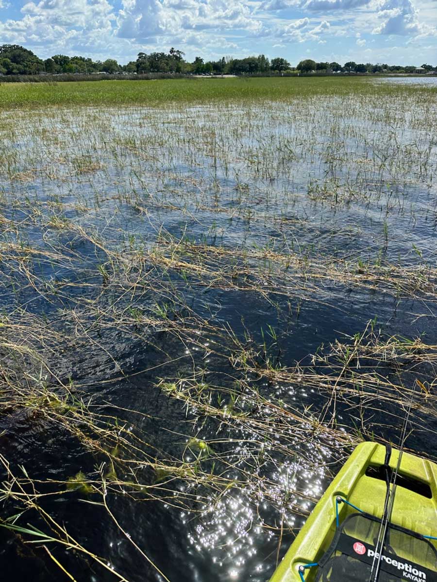 Kayak Fishing East Lake Toho Bass Fishing