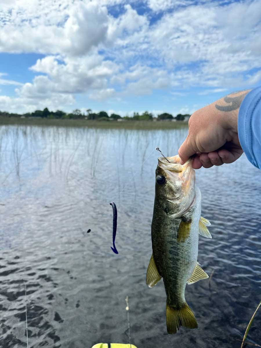 Kayak Fishing East Lake Toho Bass Fishing