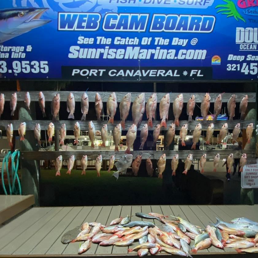 Taking Advantage of Weather Windows Port Canaveral Offshore