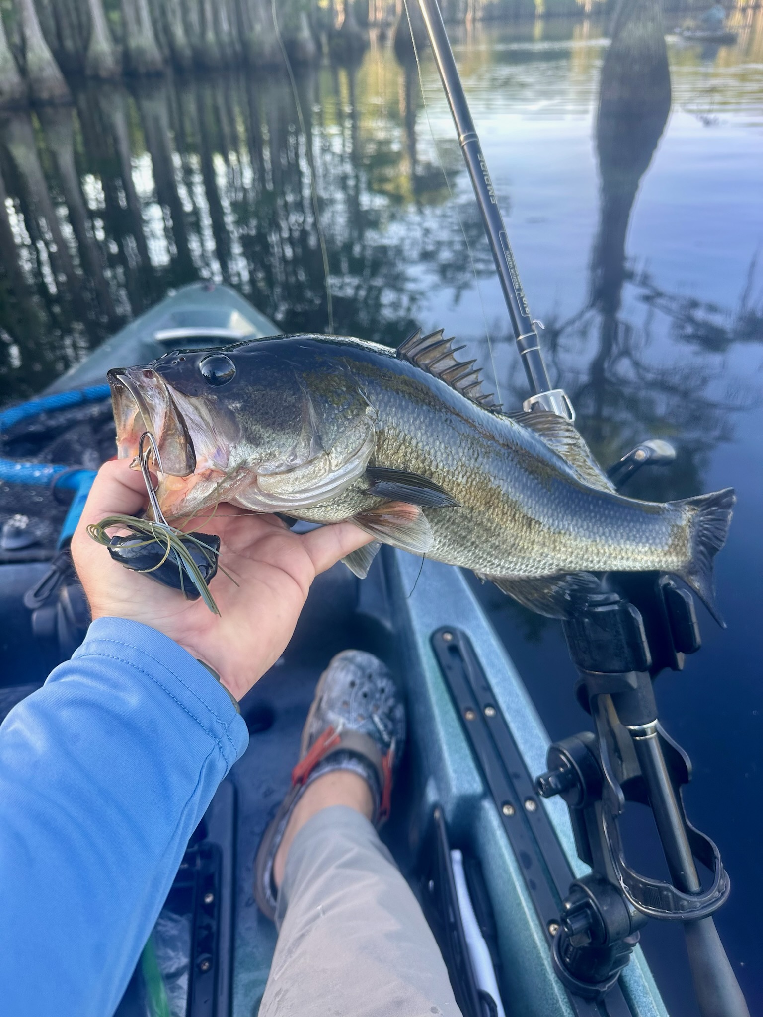 Travel Report L. Smith State Park SpaceFish
