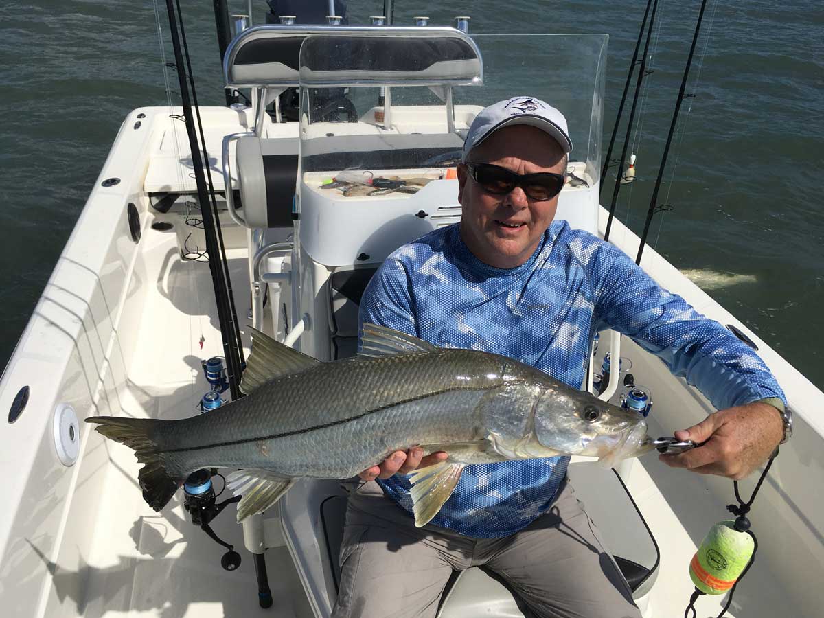 Fall Snook Season! Snook Fishing Report Space Coast