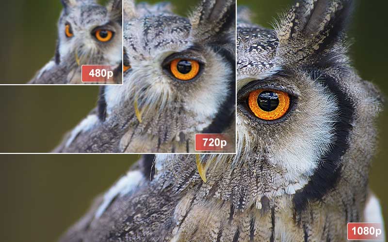 What is the Difference Between Blu Ray and DVD? Spacehop