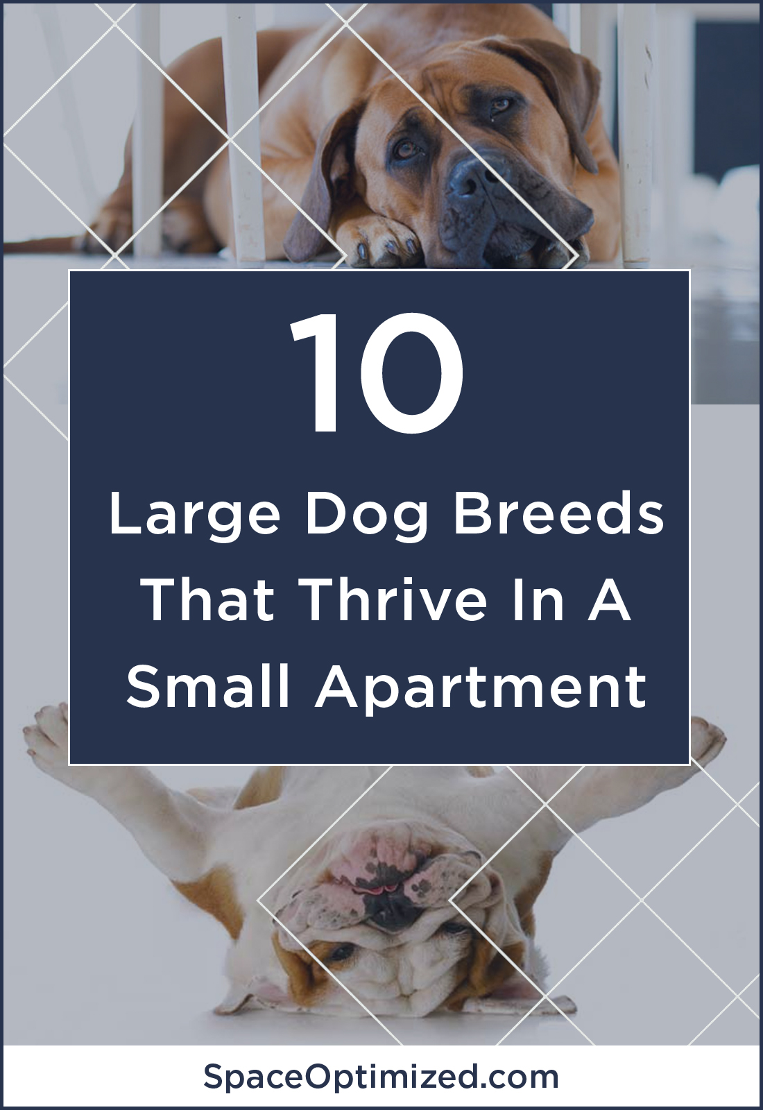 small home microapartment tiny apartment