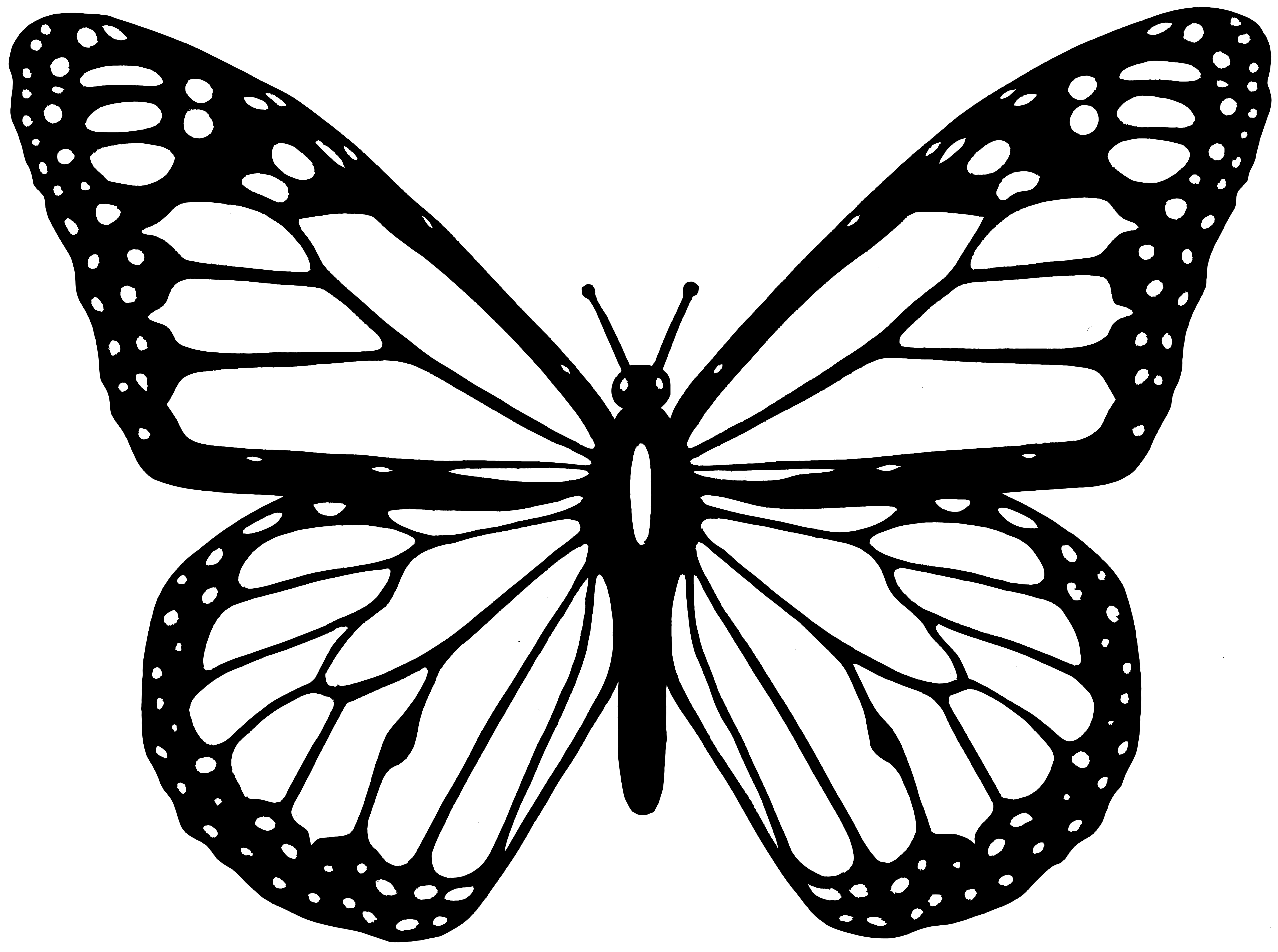 Butterfly Line Art Clip Art Image ClipSafari