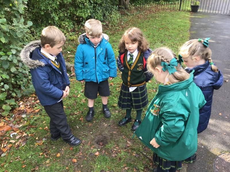 Lacey Green Primary Academy The Something