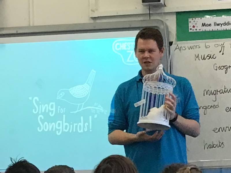Westwood Primary School Singing for songbirds