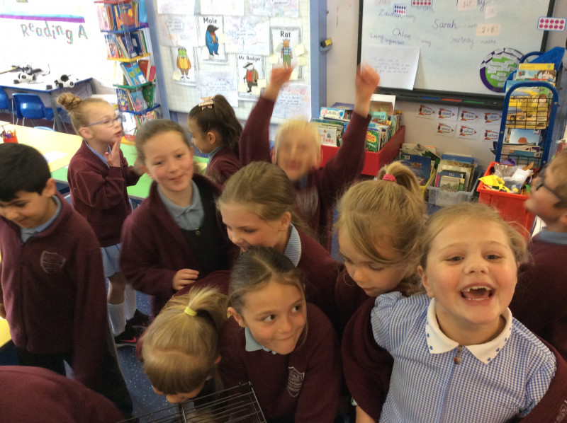 Penwortham Primary School Meet the Piggies!