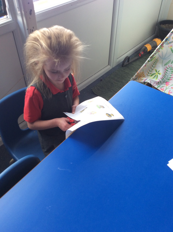 Longton Primary School Our Senses