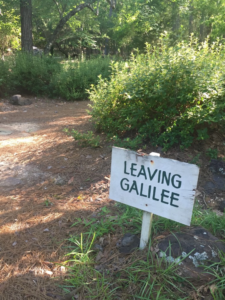 Palestine Gardens SPACES Archives