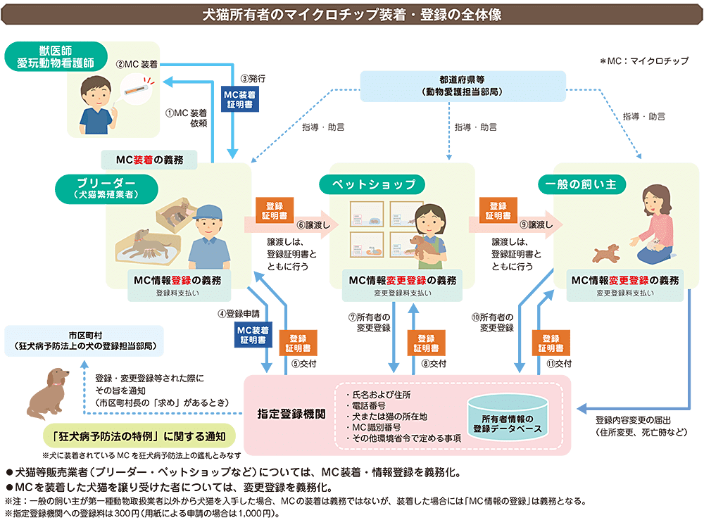 動物愛護とは？考え方と動物愛護法、日本・海外の現状と問題点を解説 Spaceship Earth（スペースシップ・アース）｜SDGs