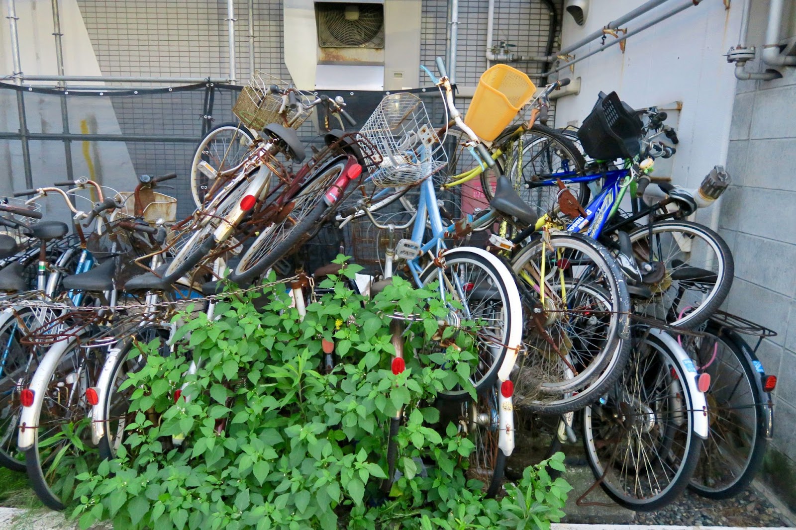 本当は自転車はエコな乗り物じゃない？環境に優しいと言われる理由とSDGsとの関係 Spaceship Earth（スペースシップ・アース